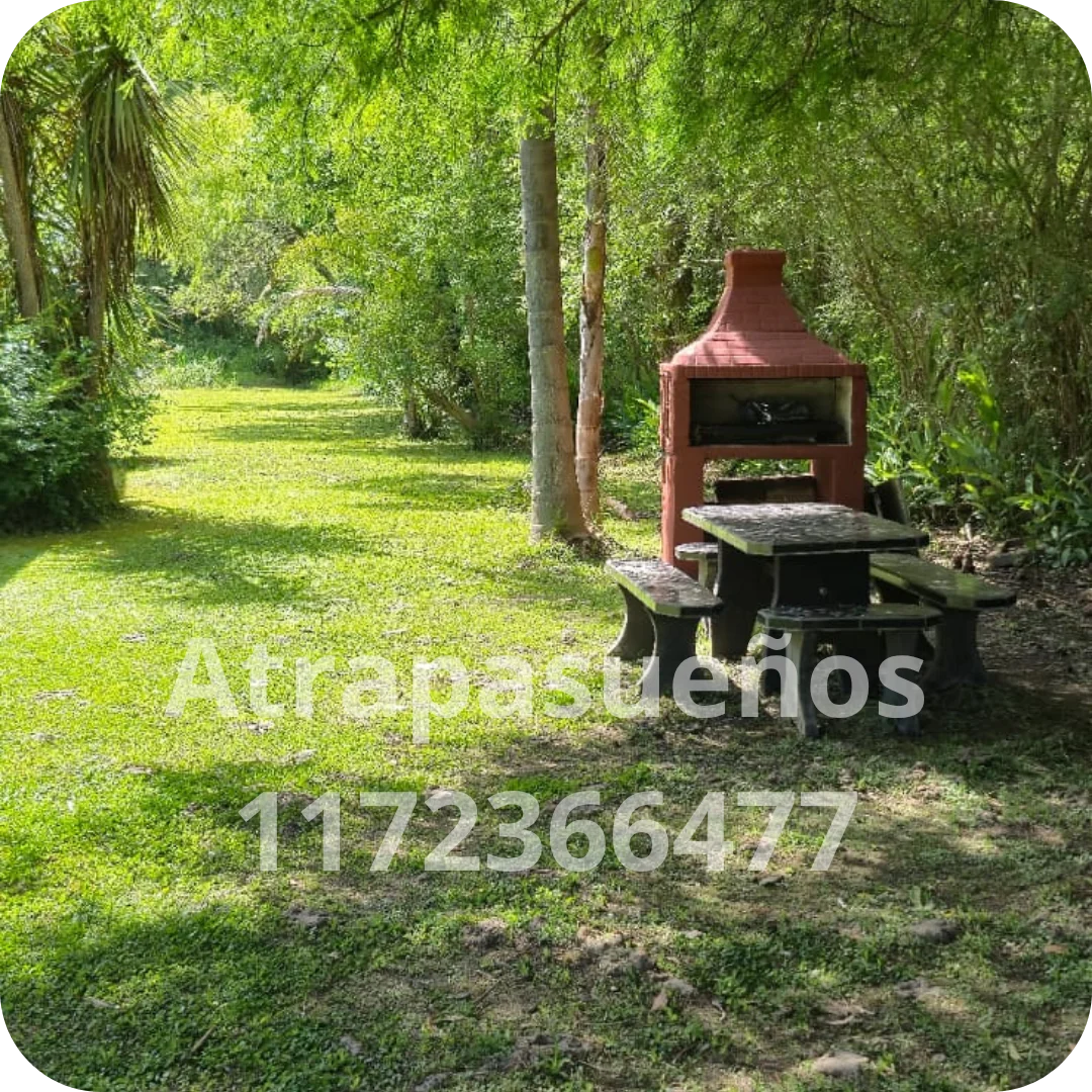 El parque y el río - imagen 7