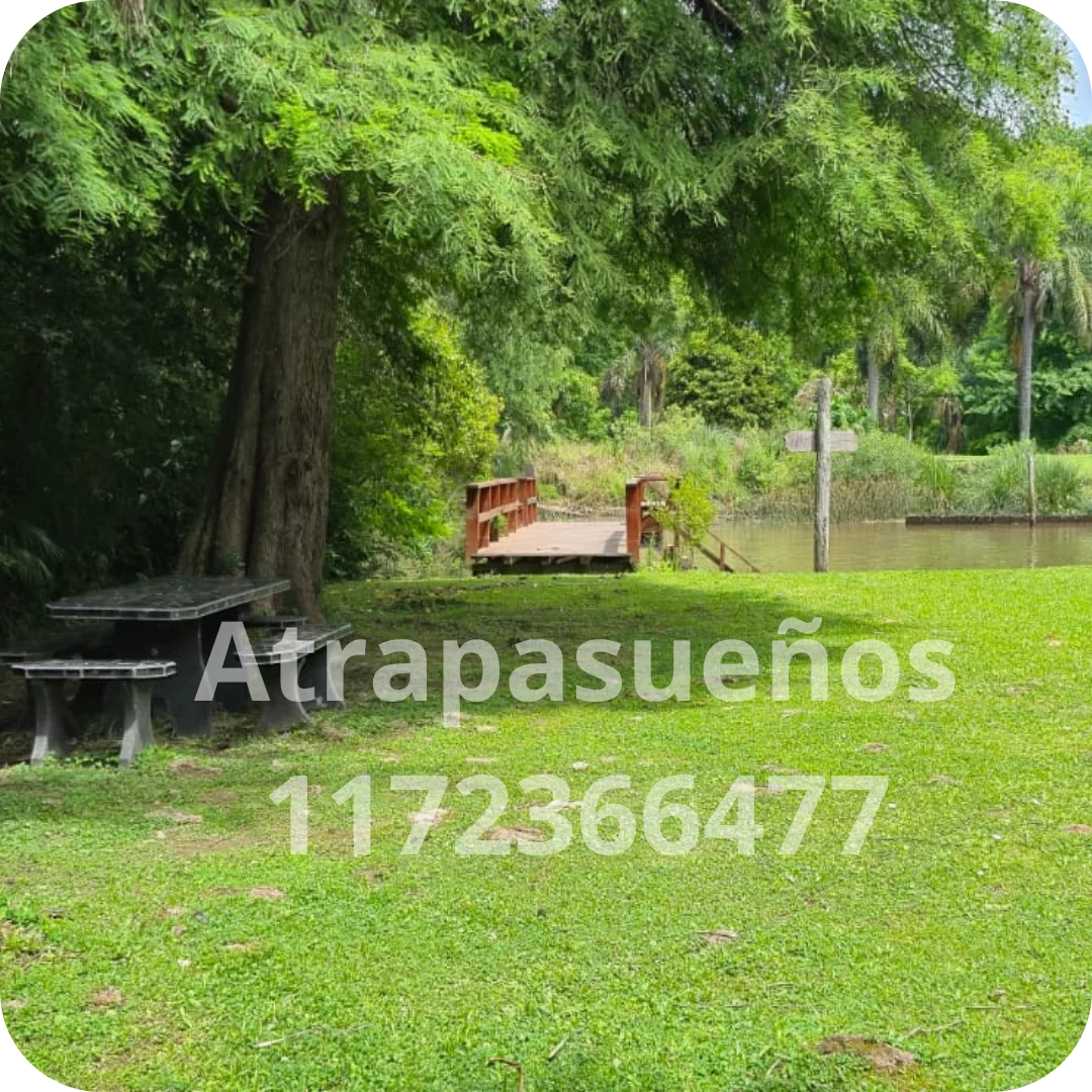 El parque y el río - imagen 9